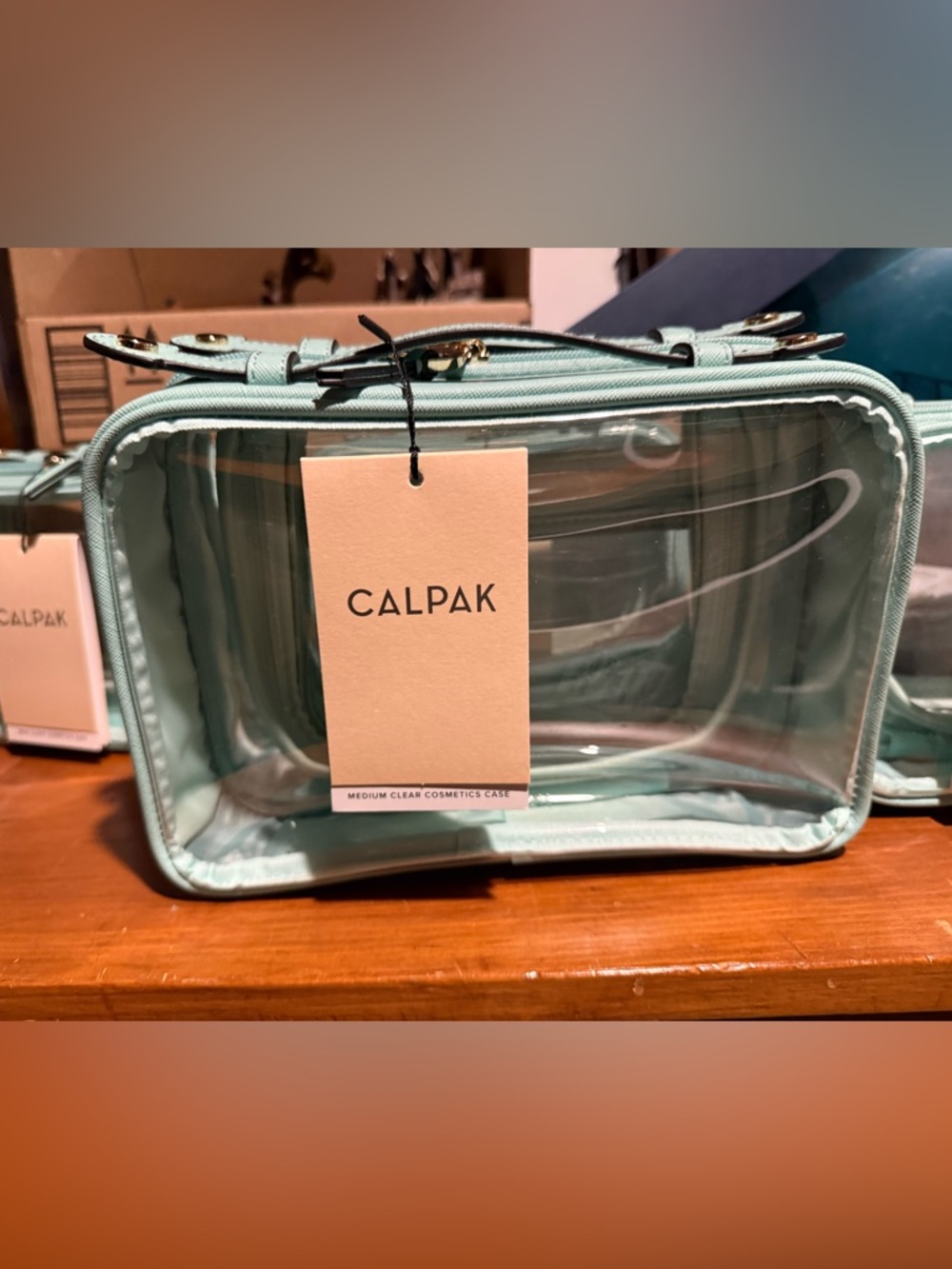 Calpak Medium Clear Cosmetic Case in Aqua